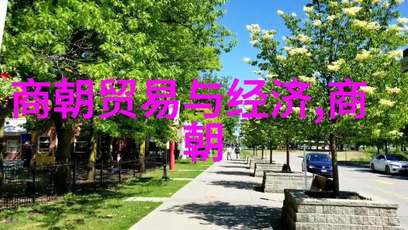 穿越时空的旅程重温中国历代文化遗产