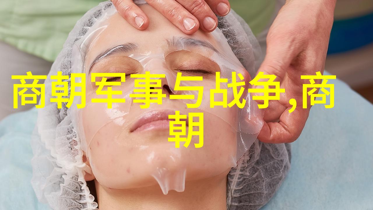 明朝历代帝王权力排名揭秘龙椅之争的历史真相