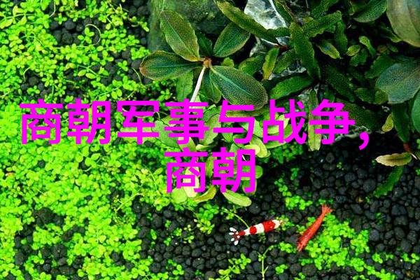 南明朝历代帝王顺序表复兴的梦想与沉默的辉煌