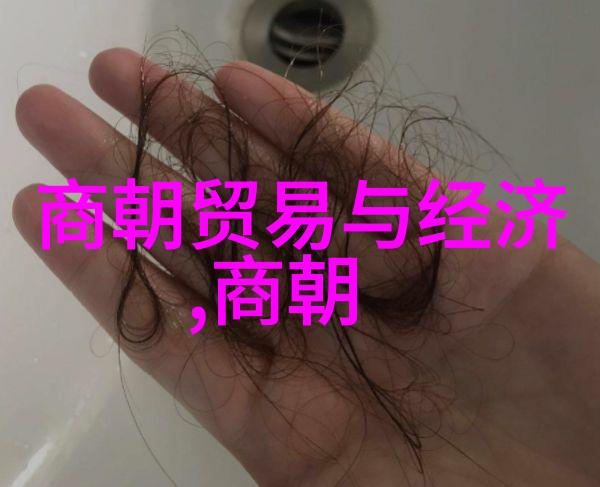 元数据引领中国学术期刊新纪元
