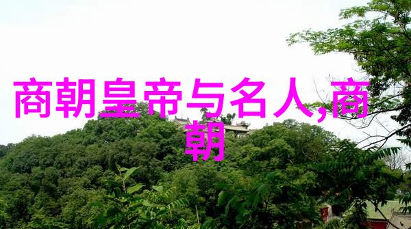 辉煌的序章宋朝与大一统的梦想