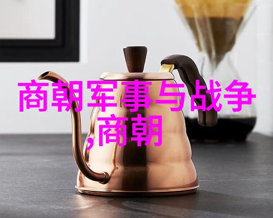 明朝那些事儿读后感3000字-穿越时空的历史探索我的明朝阅读之旅