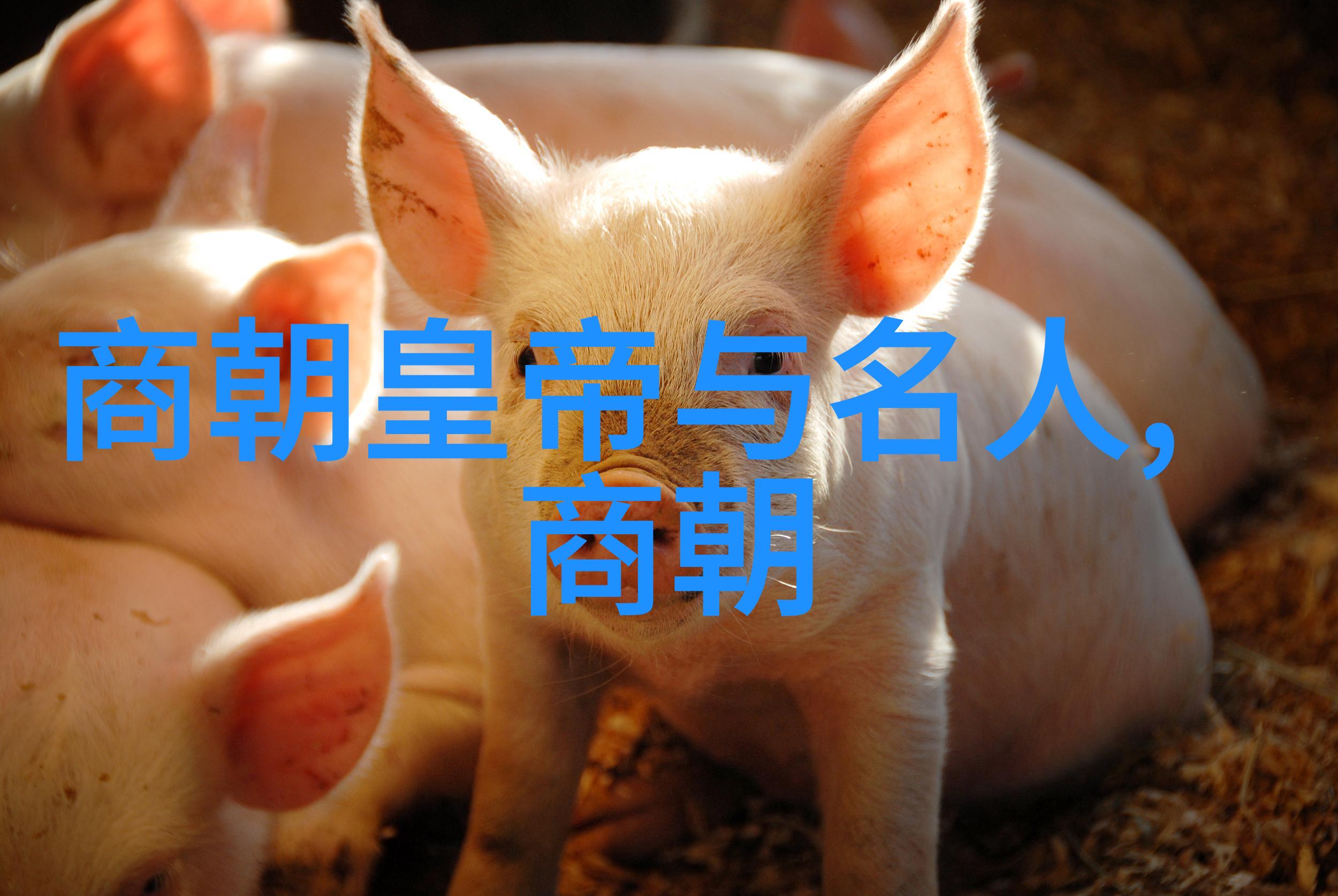 大明皇后孙若微简介我是孙若微从宫廷深处的女子到历史的闪光点