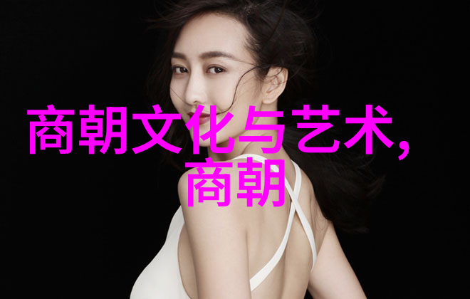宋朝历史风云北辽之乱与南宋的奋斗