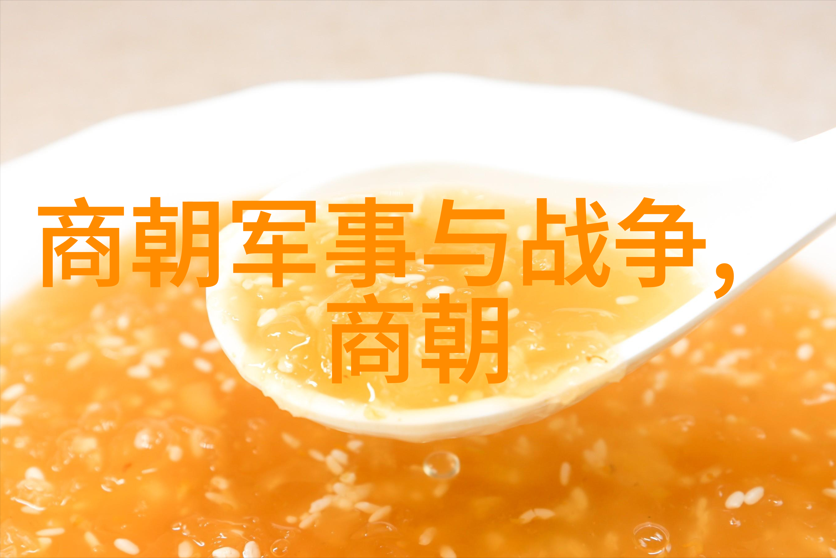 在明朝历史上有没有一名女性出现在这16个君主之列作为摄政王或代理人