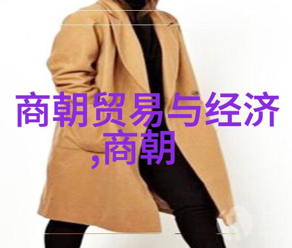 风云南北朝之姚天福篇上
