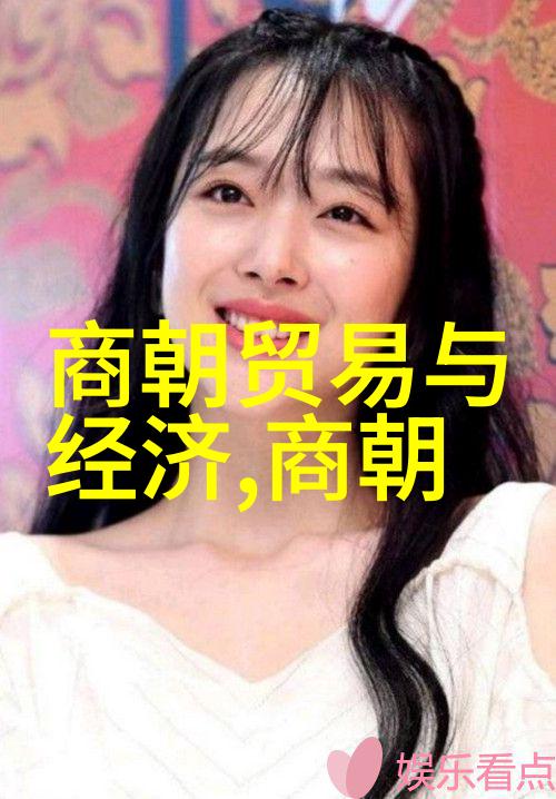 北宋末年之变从靖康之耻到金朝的兴起