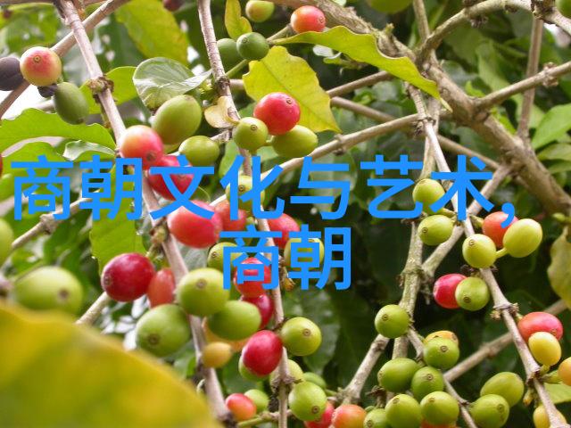 宋代史料探微揭秘历史真相的文献宝库