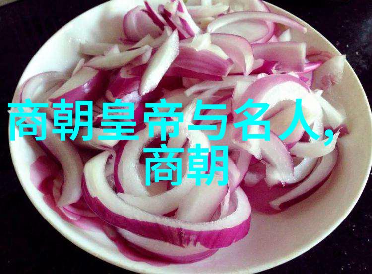 郭继枚军事行动中的指挥之星闪耀着战略的光芒