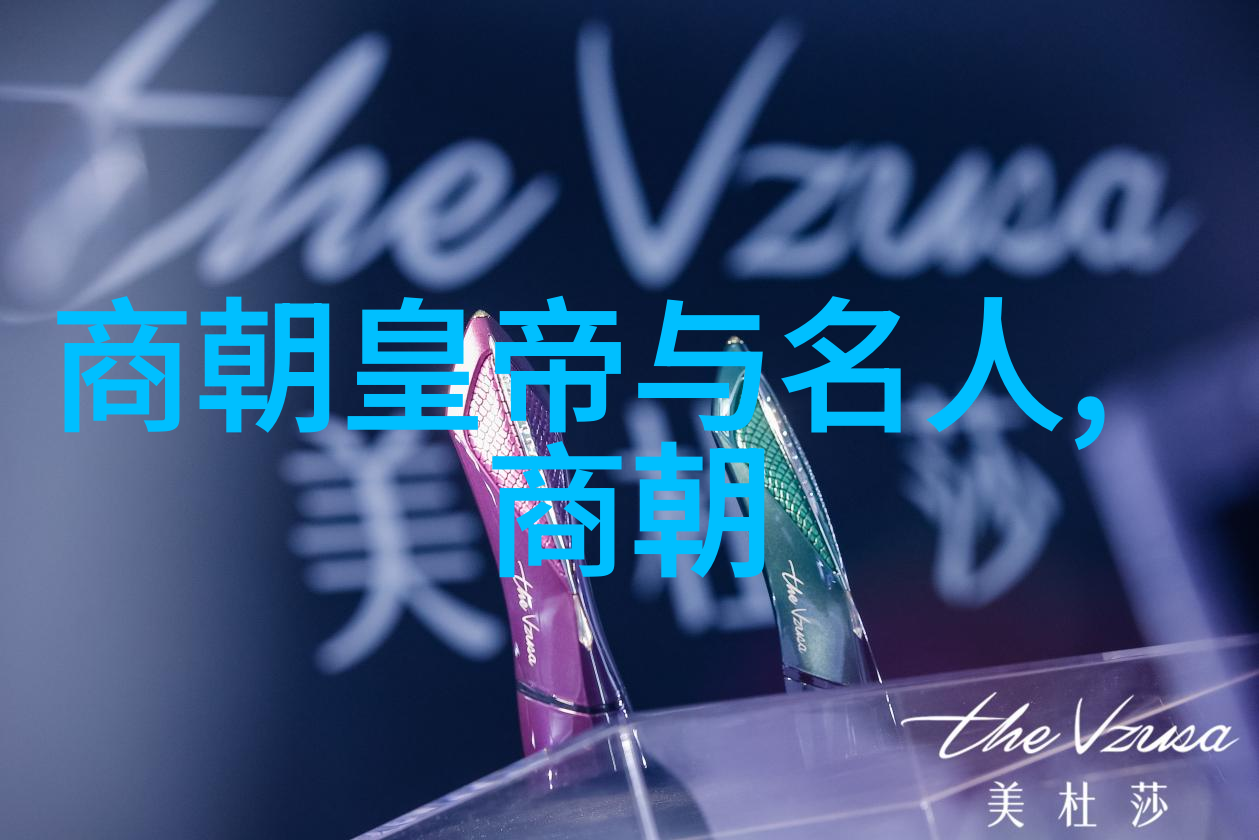 北宋名将王贽抗金先驱者