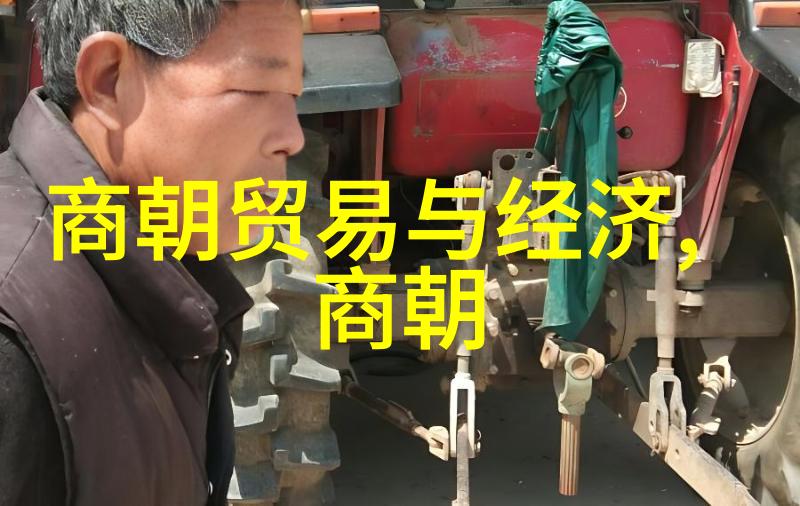 世界之霸元朝的崛起与影响力