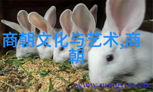 明朝历史事件回顾从永乐北伐到万历起义的变迁与影响