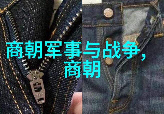 穿越时空的窗口学习明朝历史的最佳视频推荐及观看技巧