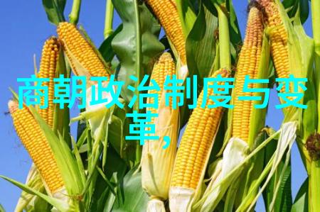 千古长廊下的帝王梦