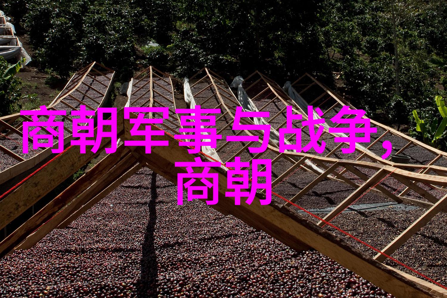 赵武侯七国中的一道光芒