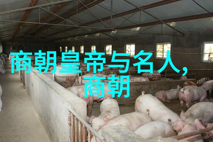 啊几天没c这么水叫直播间的热情互动