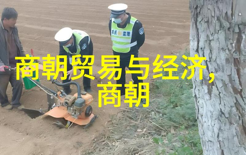 2022年最耀眼的星光百度百科上的中国女歌手闪耀榜单