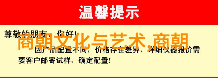 金碧辉煌与百姓艰难元朝的繁华背后