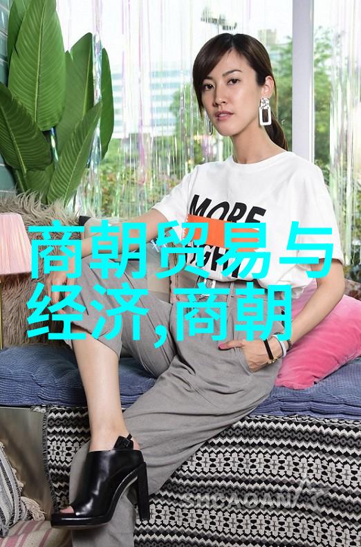 明朝能臣秘录揭开历史之谜重塑权势之表