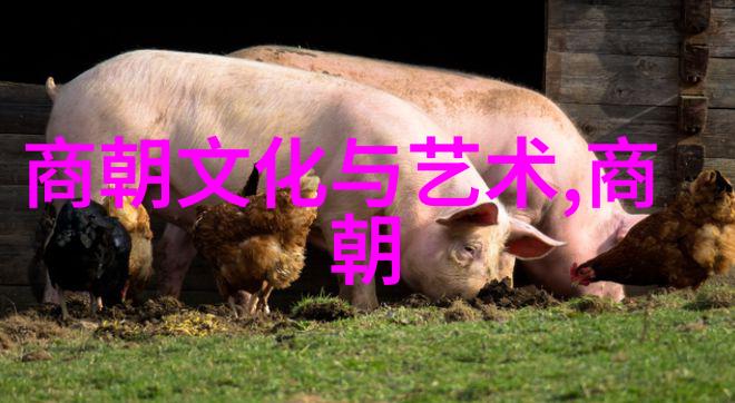 朱允炆下落之谜追踪明朝最后一代皇帝的消失
