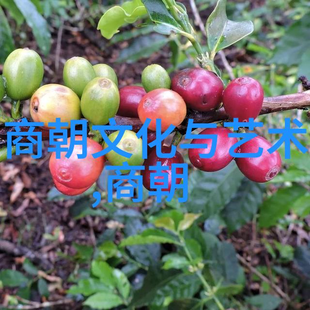 东晋名人录杨基的神秘之谜