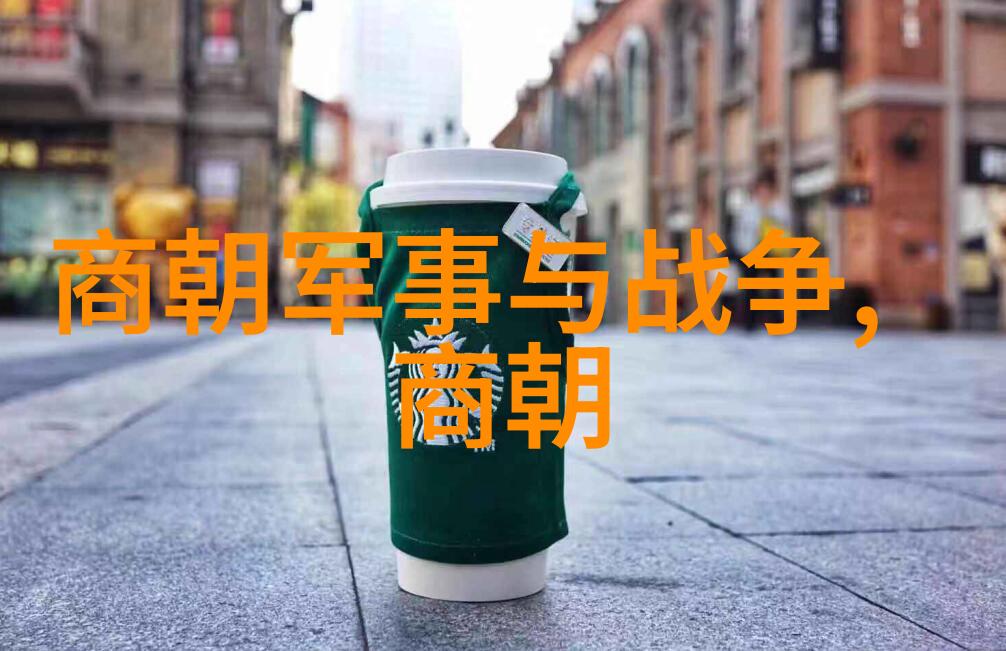 元朝风华征服与繁荣的盛世篇章
