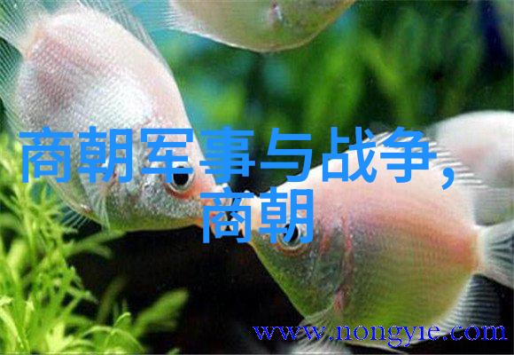 从风云变幻到绝命毒手细数那些被害死于明末政治斗争的人物故事