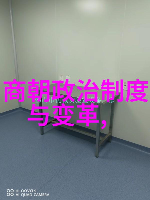 明朝风华从洪武到崇祯几代帝王的盛世建业