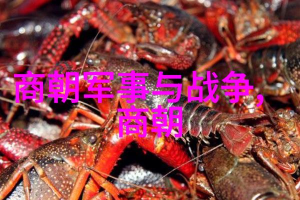 时间的裂缝揭秘失落文明的末日