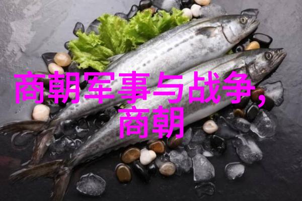 明朝宫廷阴谋一位宫女的杀戮与悲剧