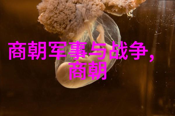 孛儿只斤middot拙赤合撒儿个朝代名人1164