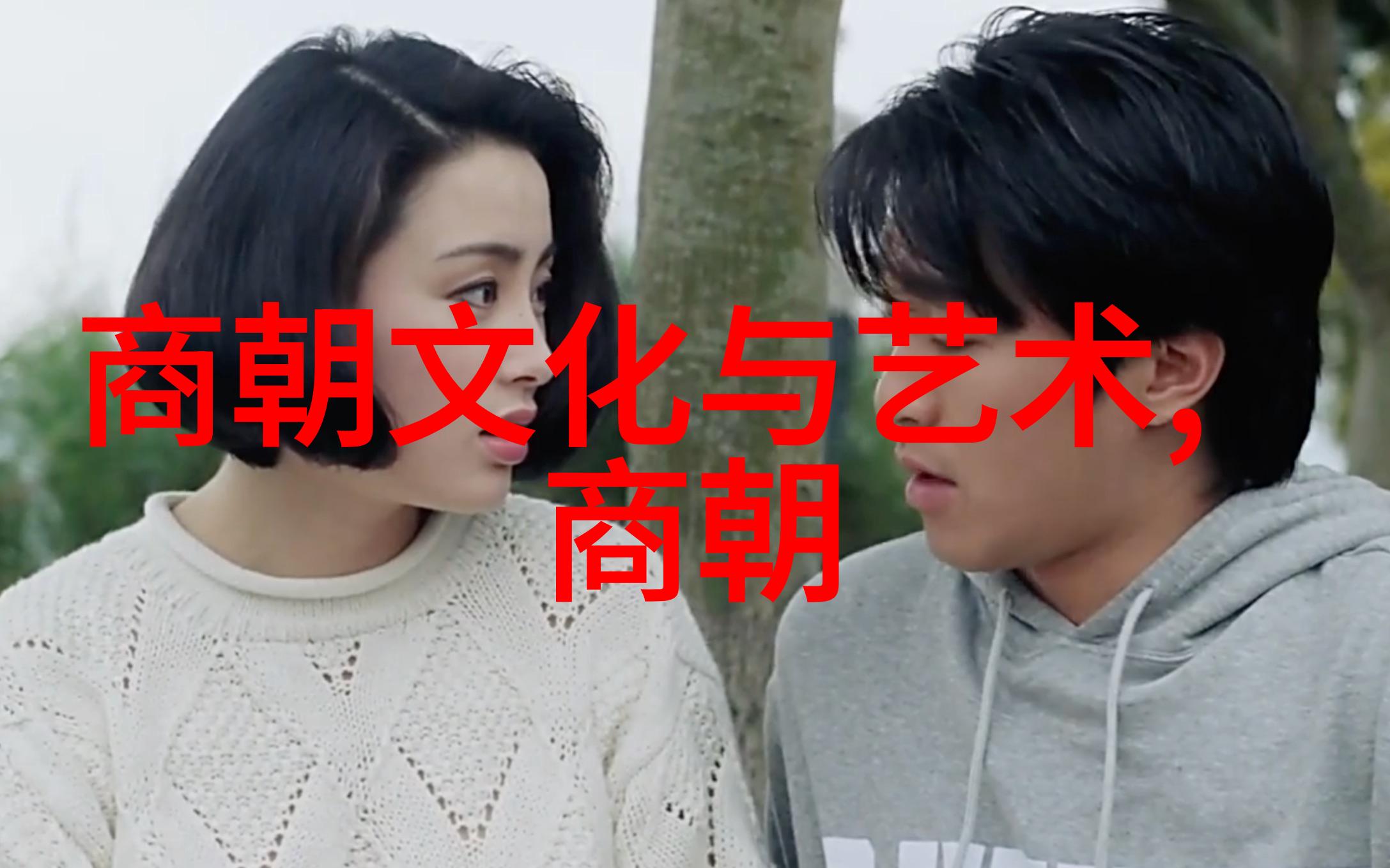 明朝历史视频播放方法了解明朝历史的最佳途径