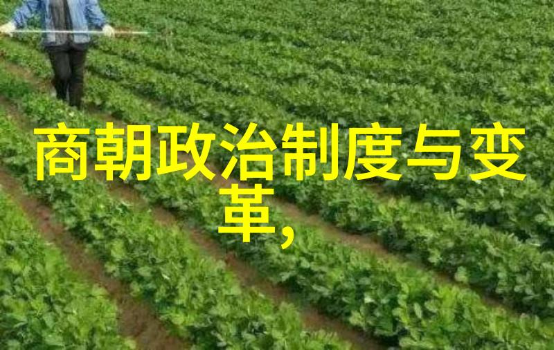 大元之谜揭秘元朝中国的真正名字
