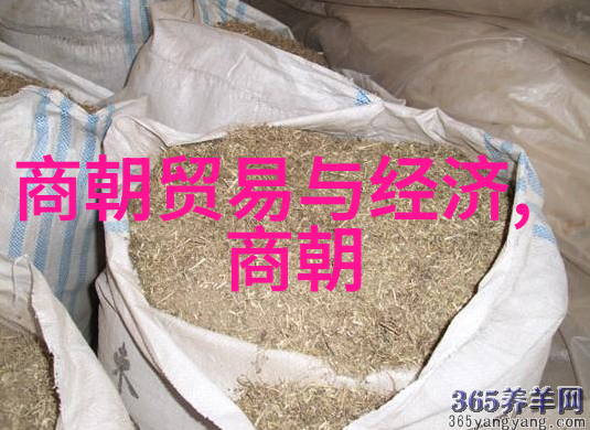 元朝历史最值得借鉴的制度与文化丰富多彩的政治体制先进的农业技术和独特的艺术风格