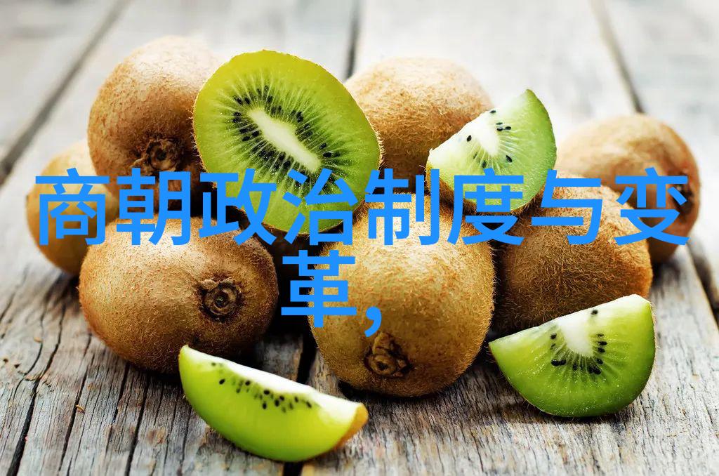 明朝历史被丑化的原因有哪些-揭秘背后的真相明朝历史 被如此歪曲