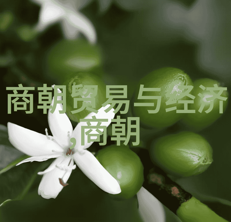 南朝的历史风云梁陈周三朝鼎立的辉煌与衰落