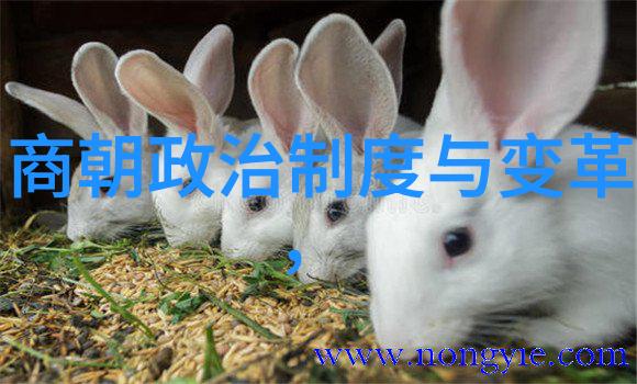 乾隆合葬的5个女人是乾隆帝的皇后和妃子分别是皇后富察琥贵妃董恕贵人李佳才人刘氏和常在