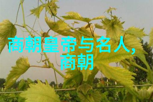 100个好题目解锁埃丁森卡瓦尼上