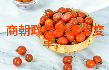 荀林父探索中国全部朝代顺序的自然历程前593
