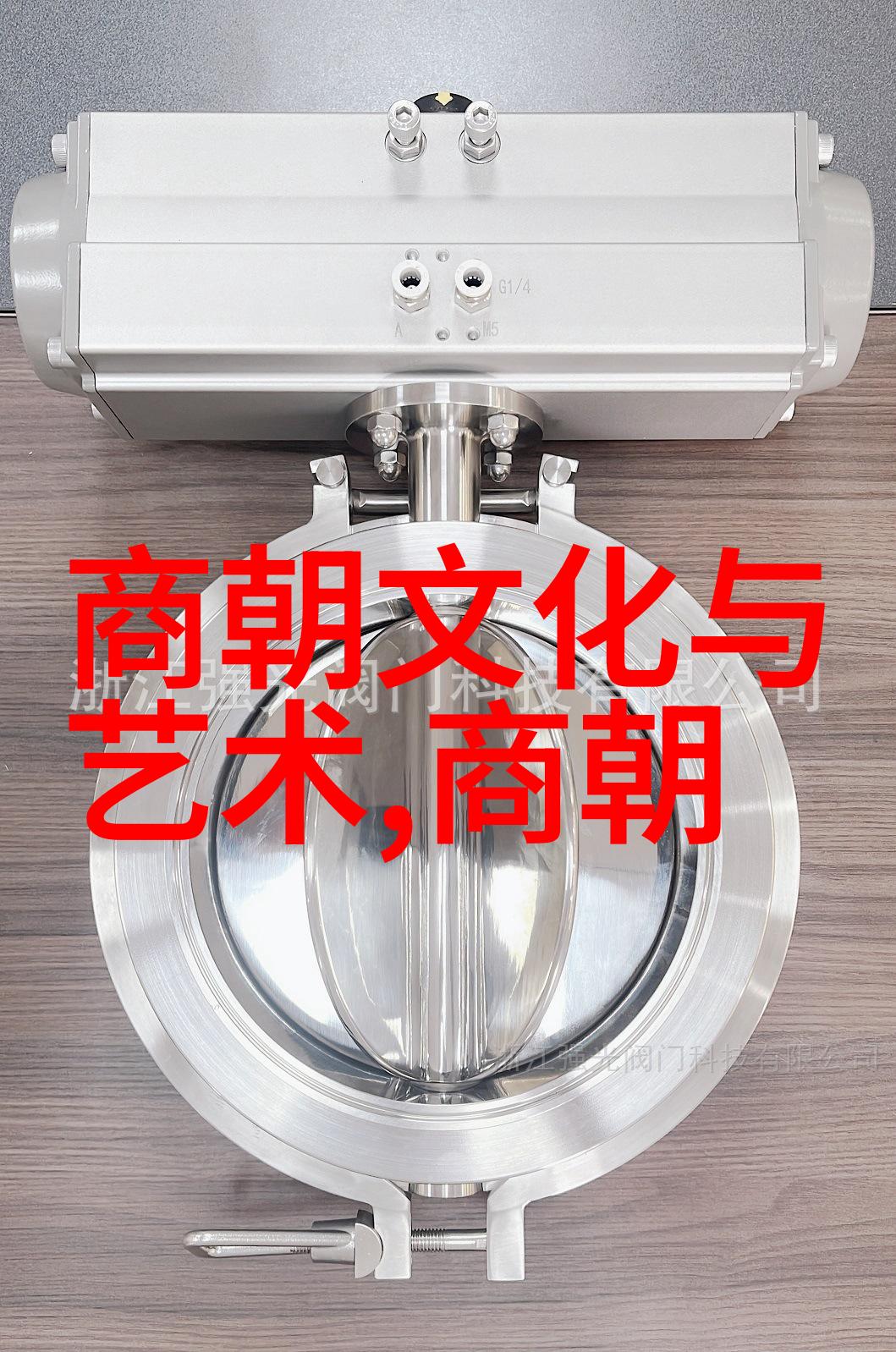 黄梅戏艺术节卖油郎奏响经济的和音
