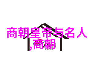 中国最闪耀的歌星揭秘歌坛天后的真面目