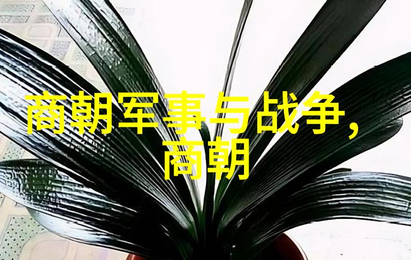 结束与开始探索朱允文妻子的未了篇章