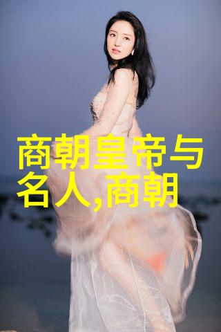元朝都市风华辽阔帝国的文化盛世