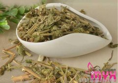 商朝为啥分为早商晚商两阶段有何不同