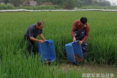 蔡邕为何为董卓哭最后的结束是什么